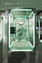 FAST PACK / NIKE HOUSE OF INNOVATION