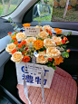 济南花店 | 啤酒花盒 瓶瓶安安 尝尝酒酒