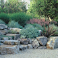 Landscaping Grasses Design Ideas, Pictures, Remodel, and Decor - page 21
