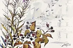 苏格兰水彩画家｜Darren Woodhead