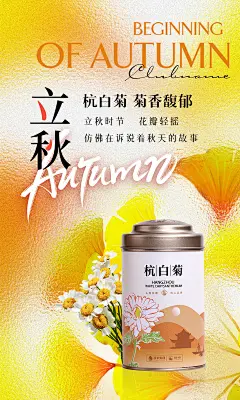 立秋茶叶海报 杭白菊 金色橘色背景 银杏 菊花