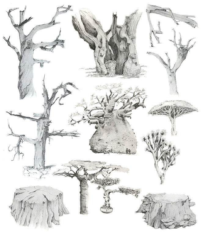 Sketchbook Trees, Ch...