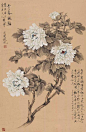 于非闇 牡丹
