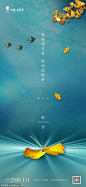 二十四节气地产秋分海报