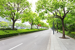 WL景观采集到道路景观