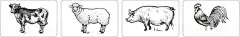 猪牛羊鸡  - 源文件下载【酷图网】动物矢量图,猪,牛,羊,鸡,CDR,可改色,动物线稿,猪牛羊剪影
