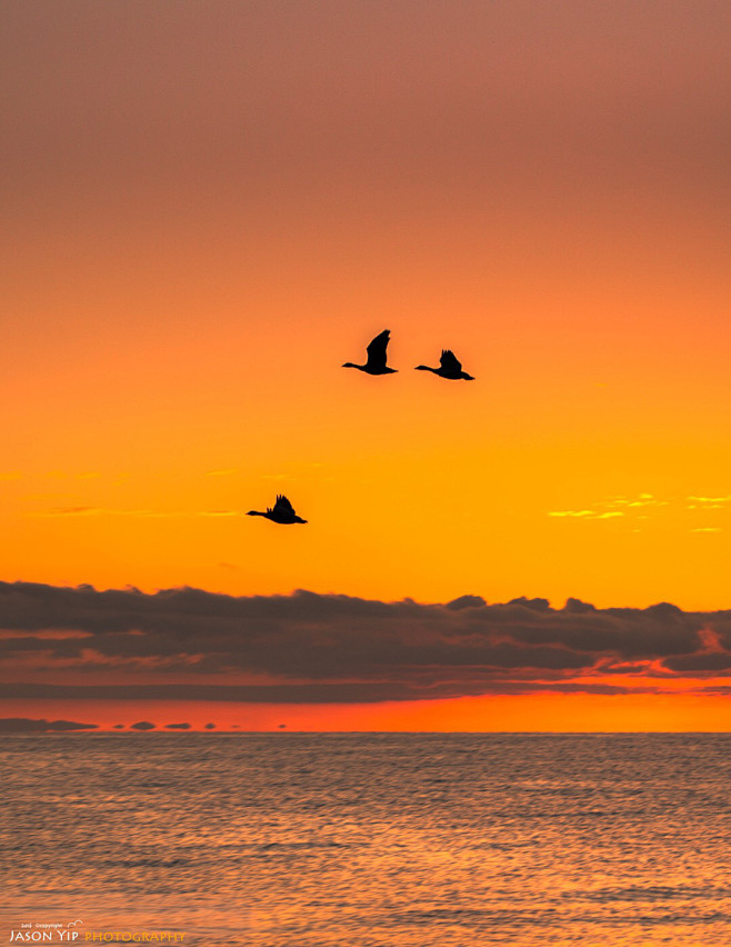 落霞与孤鹜齐飞秋水共长天一色