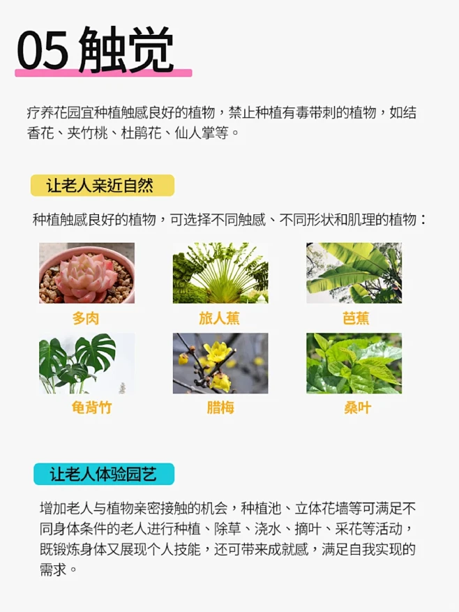 五感疗法 怎样设计理想的疗养花园？ - 小红书-花瓣网