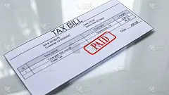 税单上盖公章，服务费，月费，关税