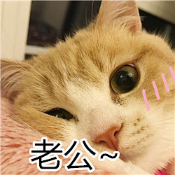 【资源】少女心qwq【表情包吧】_百度贴...