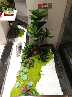 w1james采集到枯山水