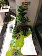 其中包括图片：苔蘚植物