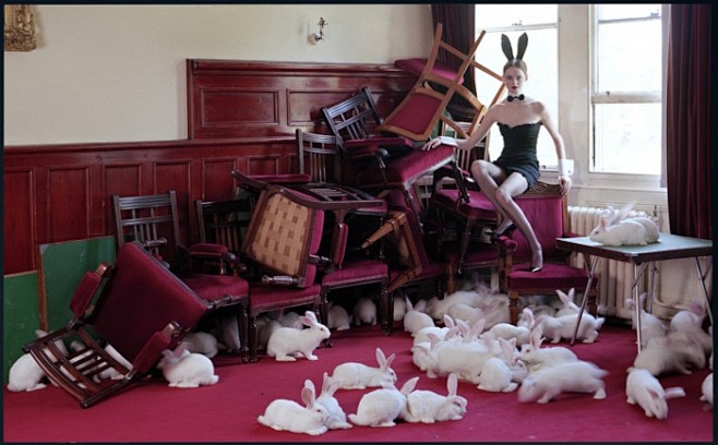 Tim Walker Photograp...