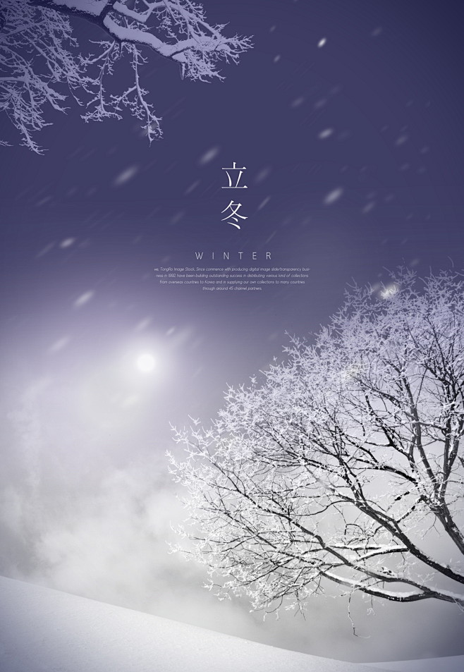 飘雪夜空 积雪树木 冬日立冬 冬季海报设...
