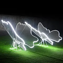 雕塑蝴蝶的搜索结果_360图片_4437855962
