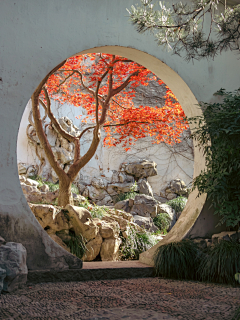 兰蓝樱采集到家居.居家.庭院