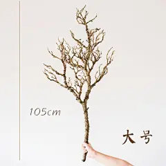 掬涵 仿真枯树枝 大型艺术装饰树枝树干插花摆件搭配花艺树皮