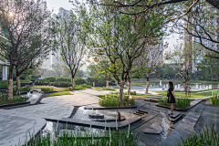 墨墨茶/8-)采集到样板区绿化