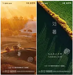 海报 房地产 二十四节气 处暑 系列