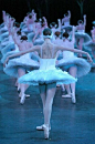 Swan Lake