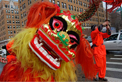 ZYdana采集到鸡