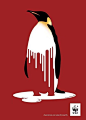 公益广告  海报 保护动物 企鹅 冰川融化
