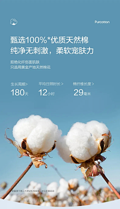 香芋九月采集到其他