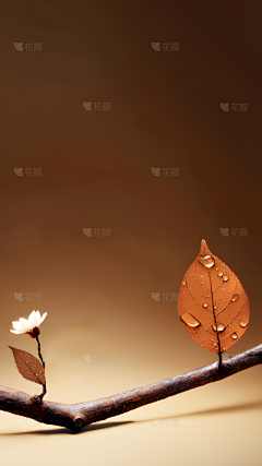 鱼桥采集到背景