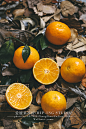 爱媛果冻橙  橙子 水果