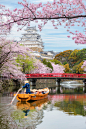 Himeji Castle with beautiful cherry blossom in spring season at by Prasit Rodphan on 500px