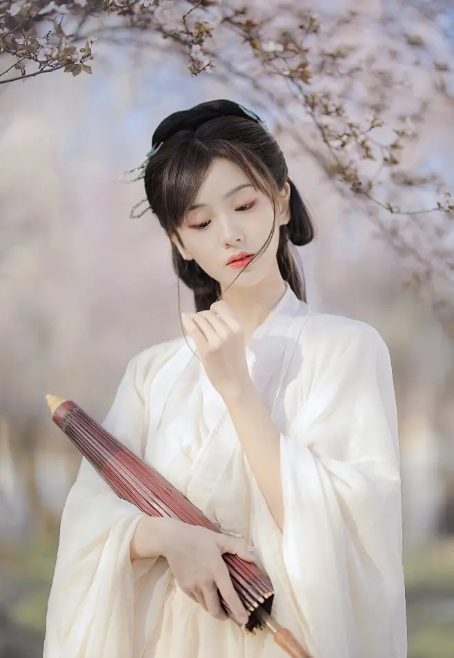 古典内的花瓣采集图片-伟观世界