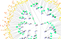 SPaTo Visual Explorer