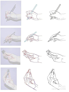林小小丶采集到手部参考