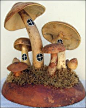 Fairy Mushroom Houses  gourds  Cyndee Newick.