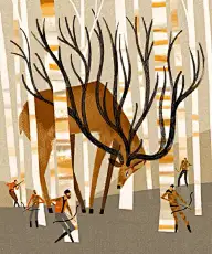 要把这些都玩一玩