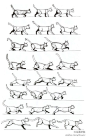 文章-【转载】【猫的姿势动态参考】 | 半次元-ACG同人创作&同好社群