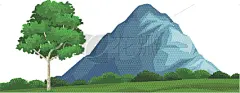 自然美,风景,地形,生物学,环境,草,植物,户外,景象,草地