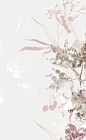 ILLUSTRATION  botanical botanic botanic illustration leaves floral organic print marina guiu stamp