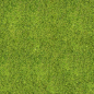 Texture seamless grass                                                       …: 