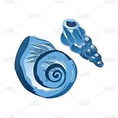 手绘一套抽象的蓝色贝壳。壳牌徒手画的插图。用于海报、卡片、印刷、明信片、纺织品、布艺、设计