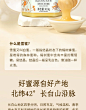 东方甄选椴树雪蜜长白山蜂蜜结晶蜜绵密润白醇厚甘甜营养美味冲饮 【1瓶装】410g/瓶【图片 价格 品牌 报价】-京东