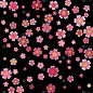 花瓣 2