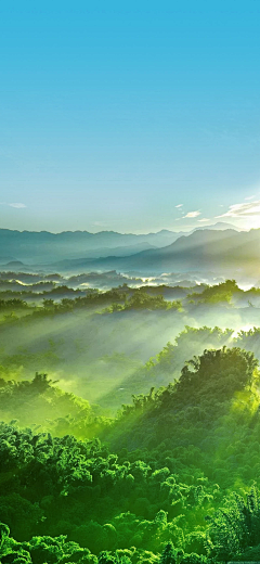 碧草千野1采集到背景