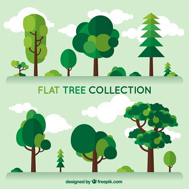set-trees-different-...