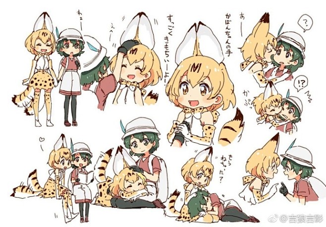 #兽娘动物园# ​​​​