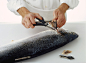 Using scissors to trim off the fins on the side of a salmon's head