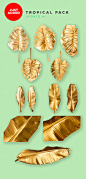 Gold Painted Leaves Collection : Gold Painted Leaves are a set of Hi Res 240 DPI PNG files of various leaves and tropical plants for use in mocking up your design projects.  Download today at http://tiny.cc/fhdeny