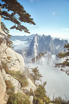 木水柔采集到置景