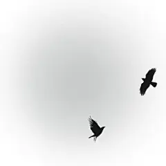 微信背景图 - 高清图片，堆糖，美图壁纸兴趣社区