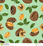 Pattern with walnut nuts. : Pattern With Walnut Nuts. - Download From Over 68 Million High Quality Stock Photos, Images, Vectors. Sign up for FREE today. Image: 67598005